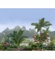 Jungle, une v&eacute;g&eacute;tation luxuriante